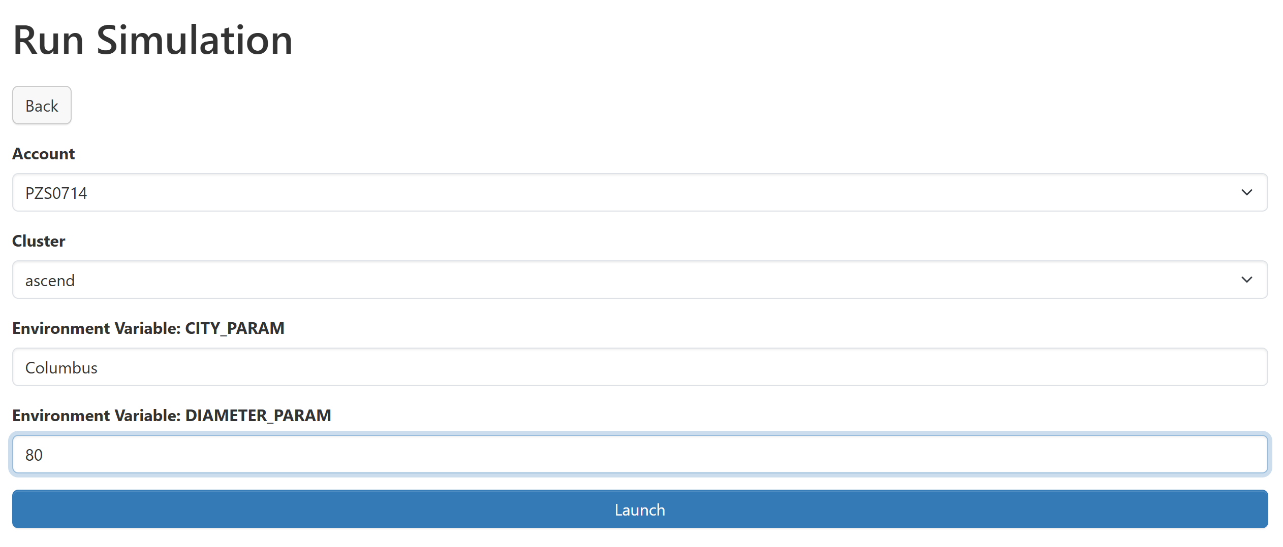 The launcher form filled out, showing how to pass non-default values for environment variables