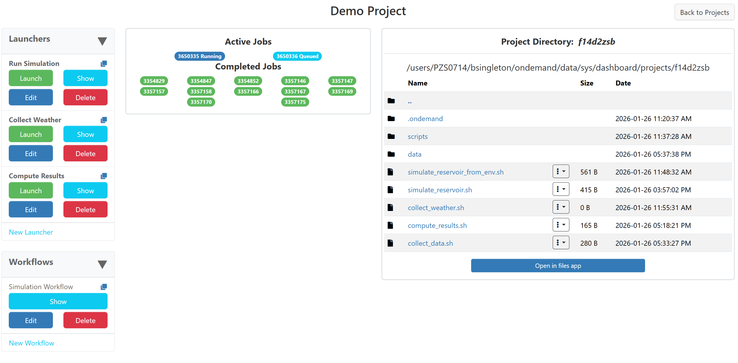 The project dashboard, showing the launchers, workflows, jobs, and files of an example project.