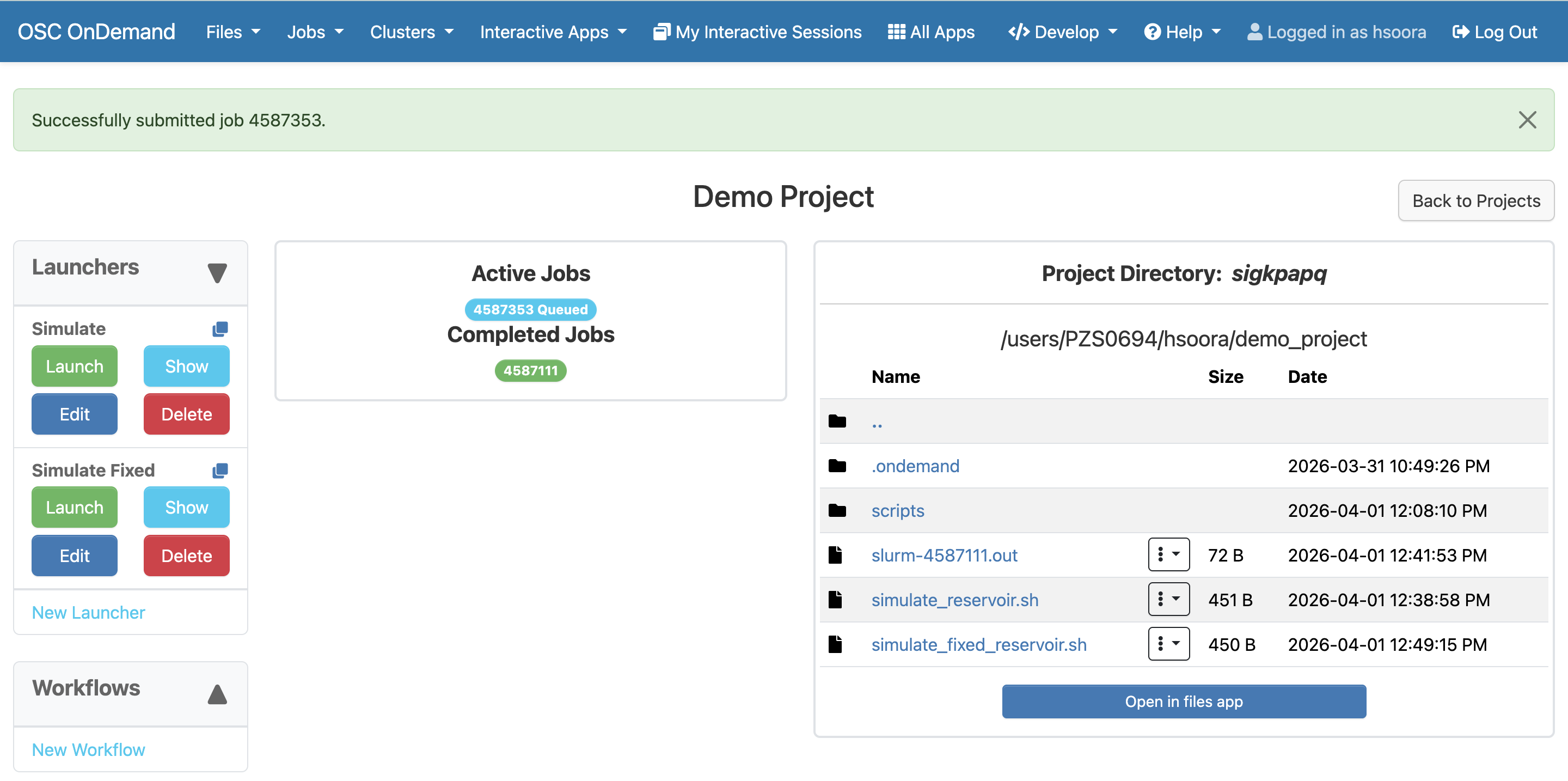 The project ui, showing two launchers, submitted jobs and project directory.